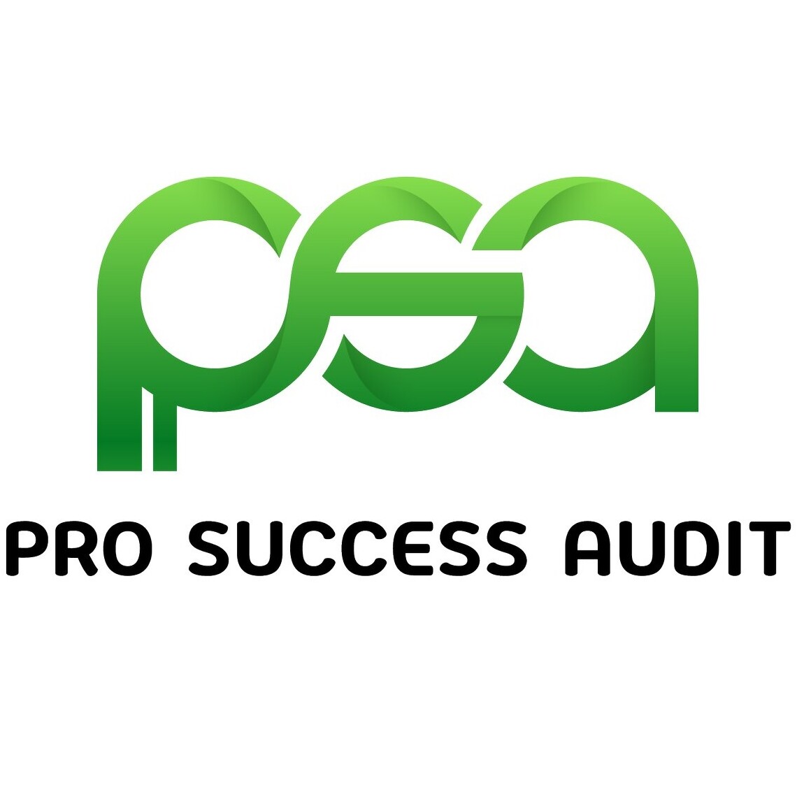 accounting-firm-place-logo