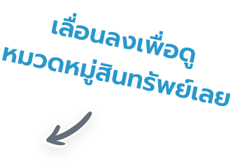 เลื่อนลงเพื่อดูหมวดหมู่สินทรัพย์เลย