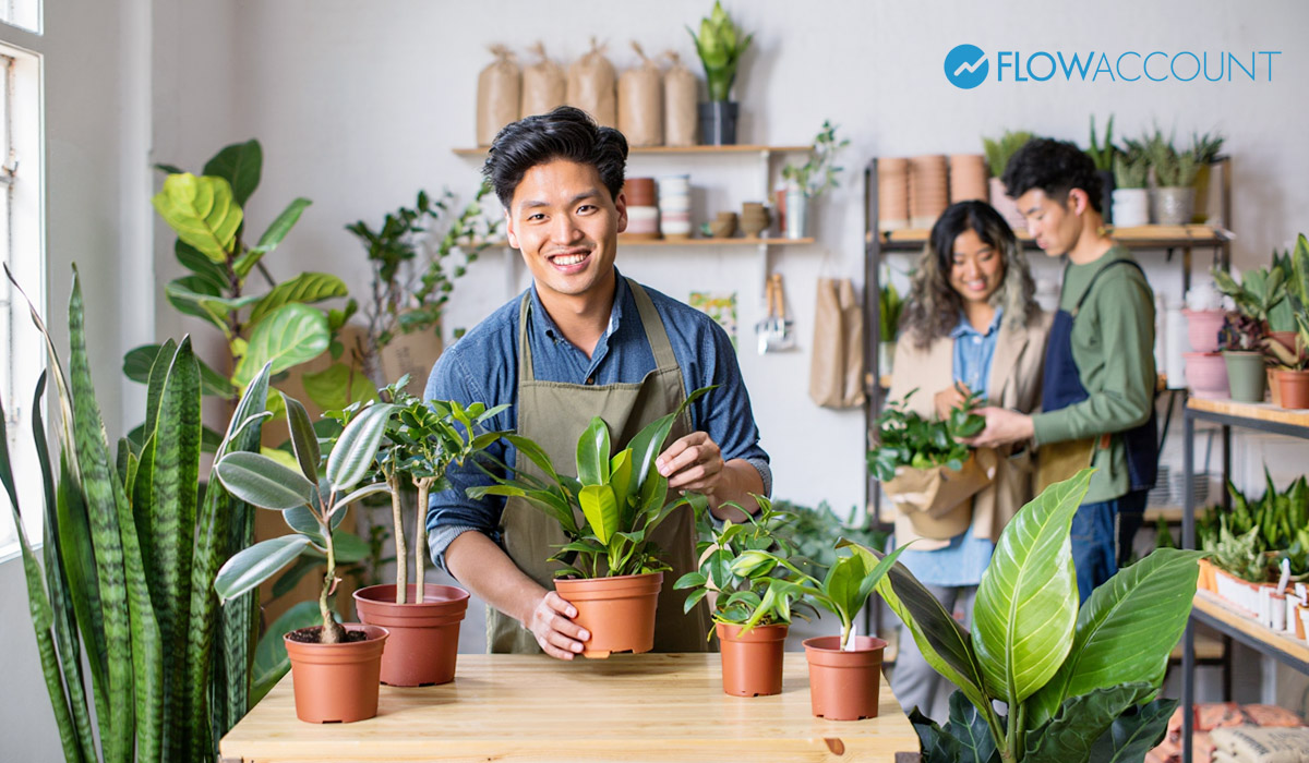 ขายต้นไม้เล็ก ๆ ต้นไม้ฟอกอากาศ